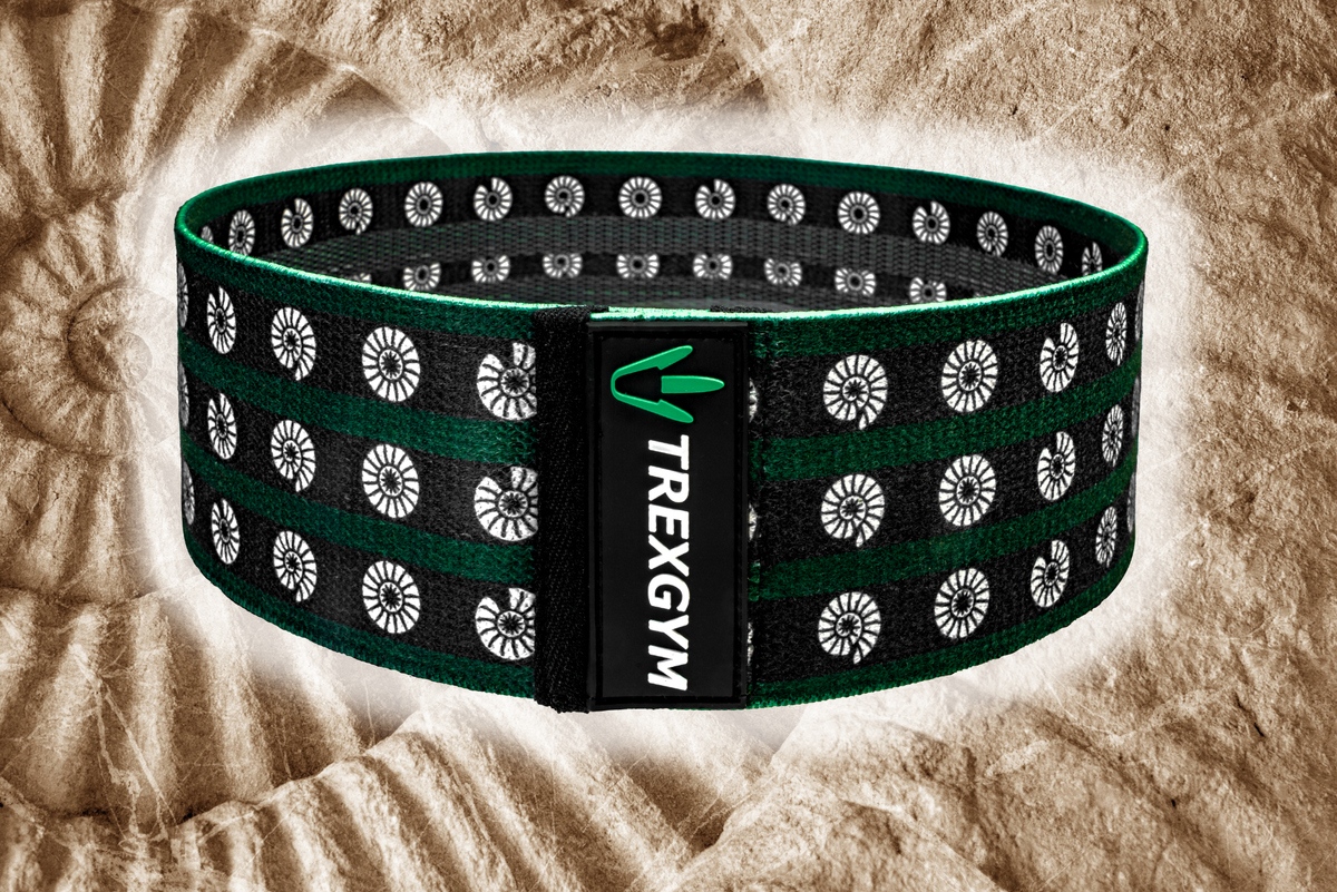 TREXGYM® BOOTY BAND - ZWAAR - RESONANCE PERISPHINKTĒR