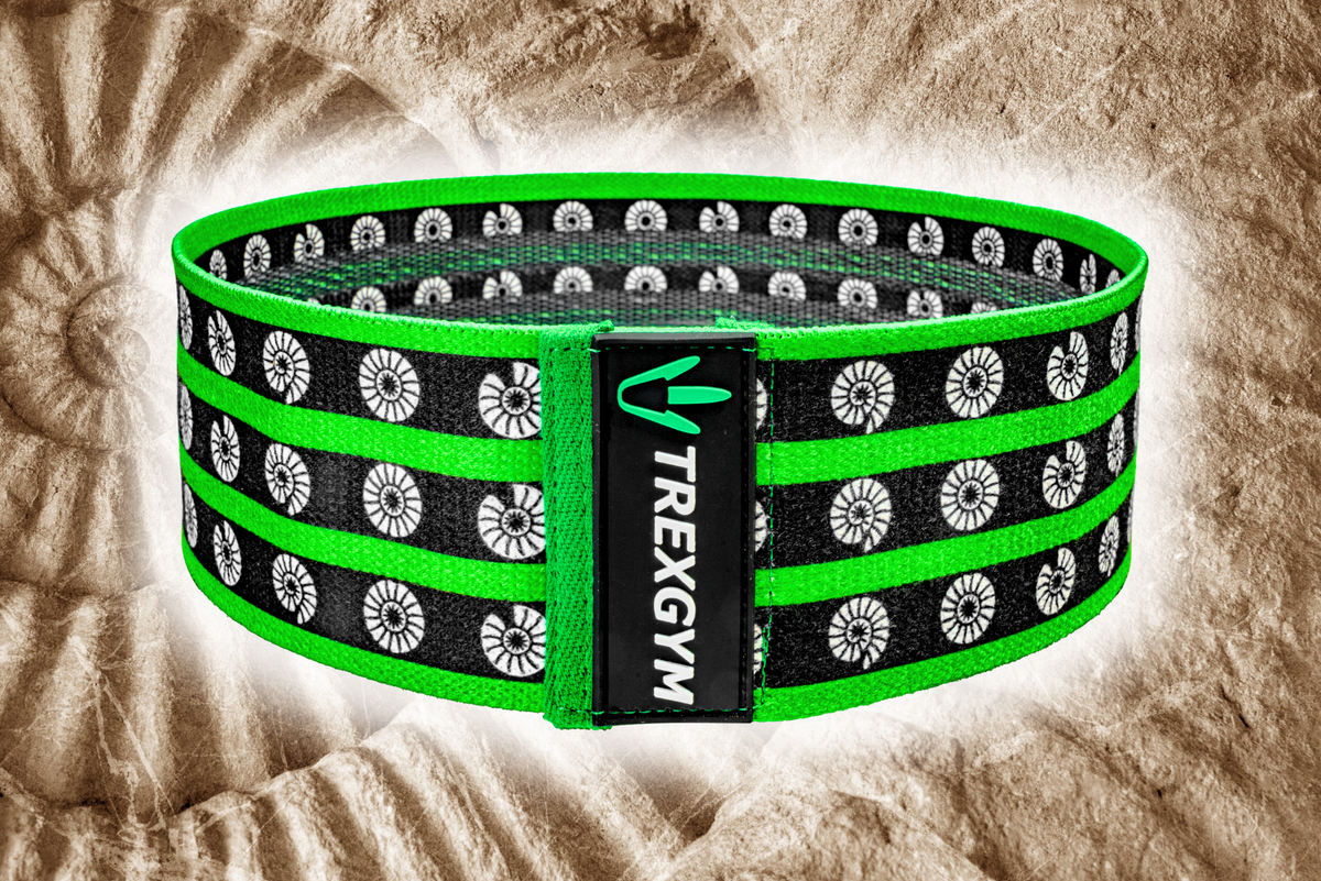 TREXGYM® BOOTY BAND - MEDIUM - RESONANCE PERISPHINKTĒR