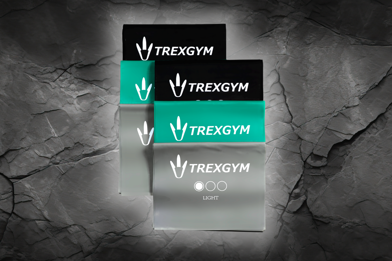 TREXGYM®  WEERSTANDBAND ZWAAR-ZWART - PLANET GREENTECH ENSIGN