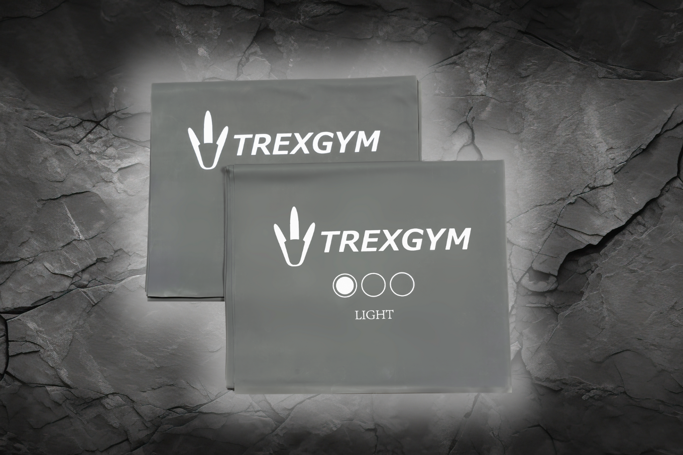 TREXGYM®  WEERSTANDBAND LICHT-GRIJS - DRACO ENSIGN GREENTECH